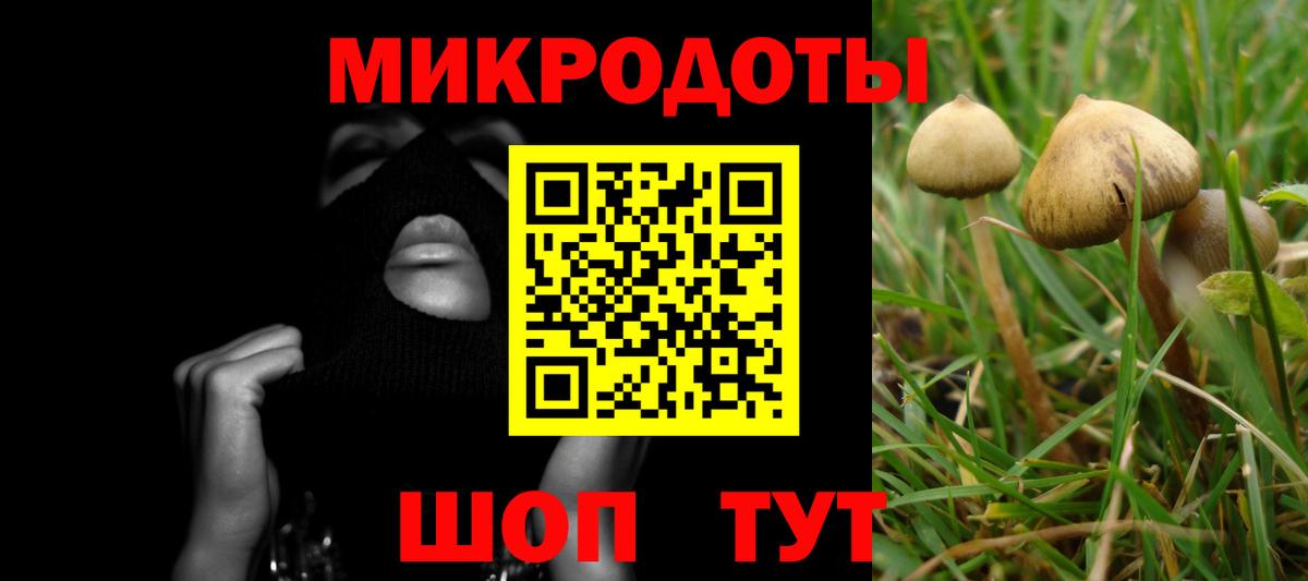 Тосно  Галлюциногенные грибы Psilocybe  Вход с VPN 